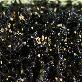 detail image2 Roasted and Salted Gwangcheon Laver 50g