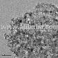 full image Zinc Oxide (ZnO)