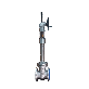 detail image1 Bellows Seal Valve